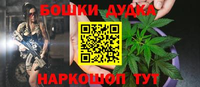 прущие грибы Мариинск