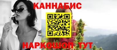 прущие крисы Малгобек