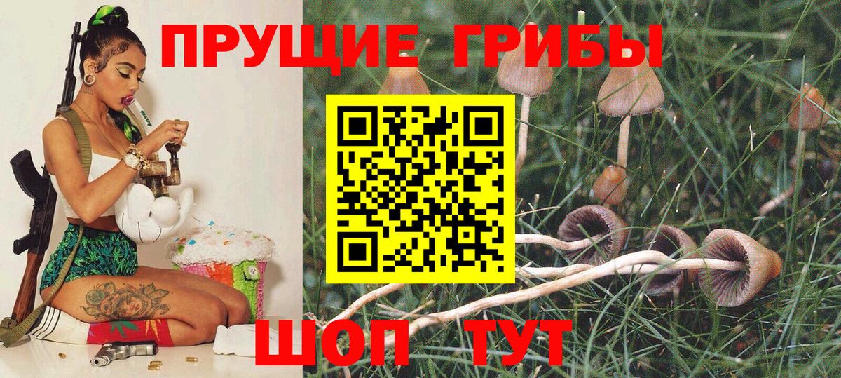 Псилоцибиновые грибы MAGIC MUSHROOMS Чусовой